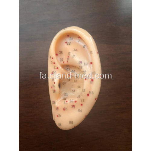 مدل ACUPUNCTURE EAR